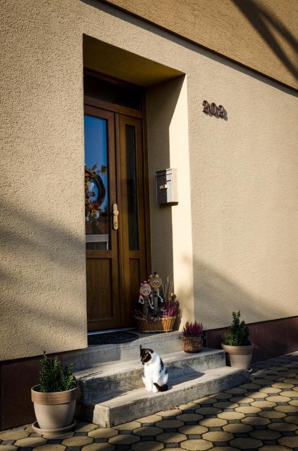 Apartmany U Kotacku Veverske Kninice Exterior photo
